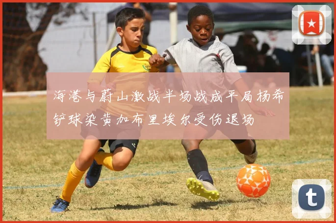 海港与蔚山激战半场战成平局杨希铲球染黄加布里埃尔受伤退场