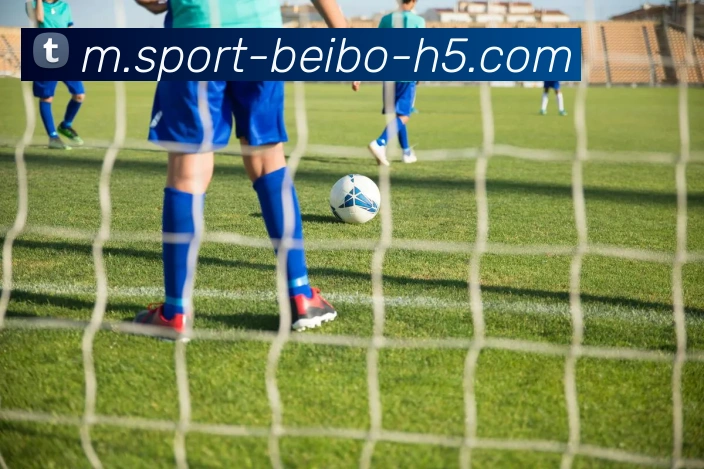 贝博体育发展历程