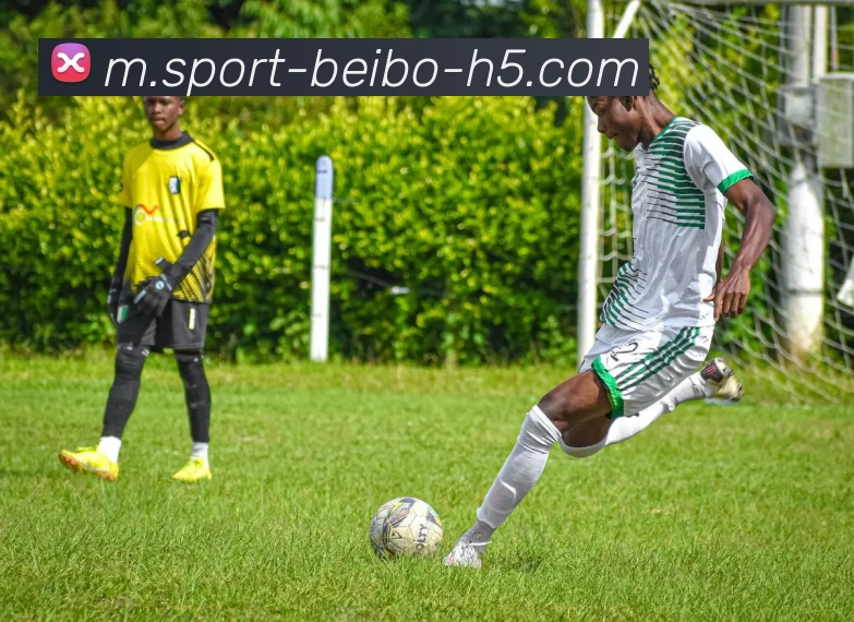 亨利质疑德甲球员在英超的适应能力认为空间有限