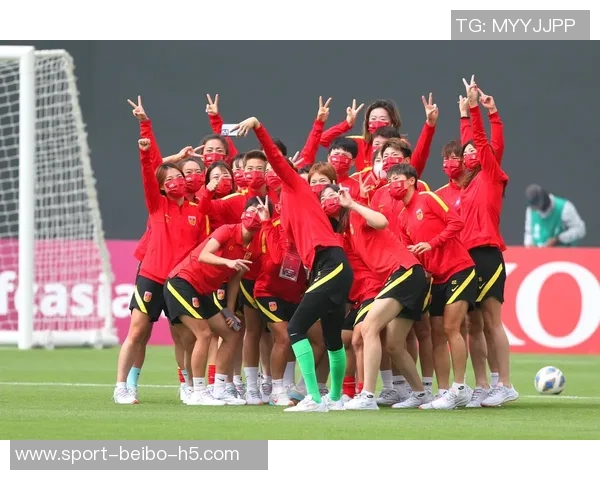 万纳尔确认将代表奥地利队出战期待在世界杯上大展身手