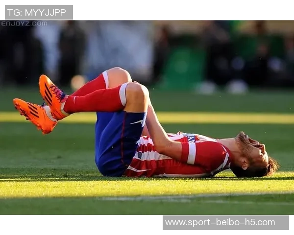 万纳尔确认将代表奥地利队出战期待在世界杯上大展身手